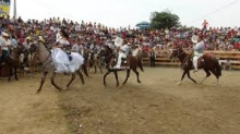 Imagen Rodeo Montubio 